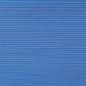 ����� CW-AN80H
