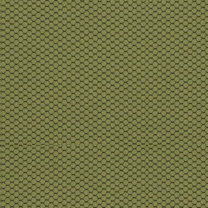 �������<br/> ����� C-AC09