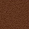 ���� ���� ����������<br/> ����������