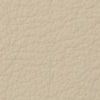 ���� ���� ��������<br/> �������
