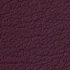 ���� ���� ����������<br/> ��������