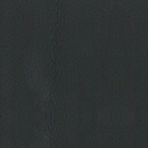 ������/�������<br/> ���� ZP9817 