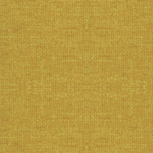 �������<br/> ����� P-TM01