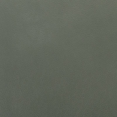 ���� Stella-Clean Black