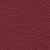 ���� ��������