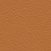 ���� </br> ���������