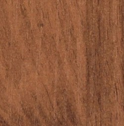 ���� ����
