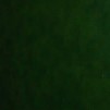 ���� ������� ������