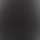 ���� ����������