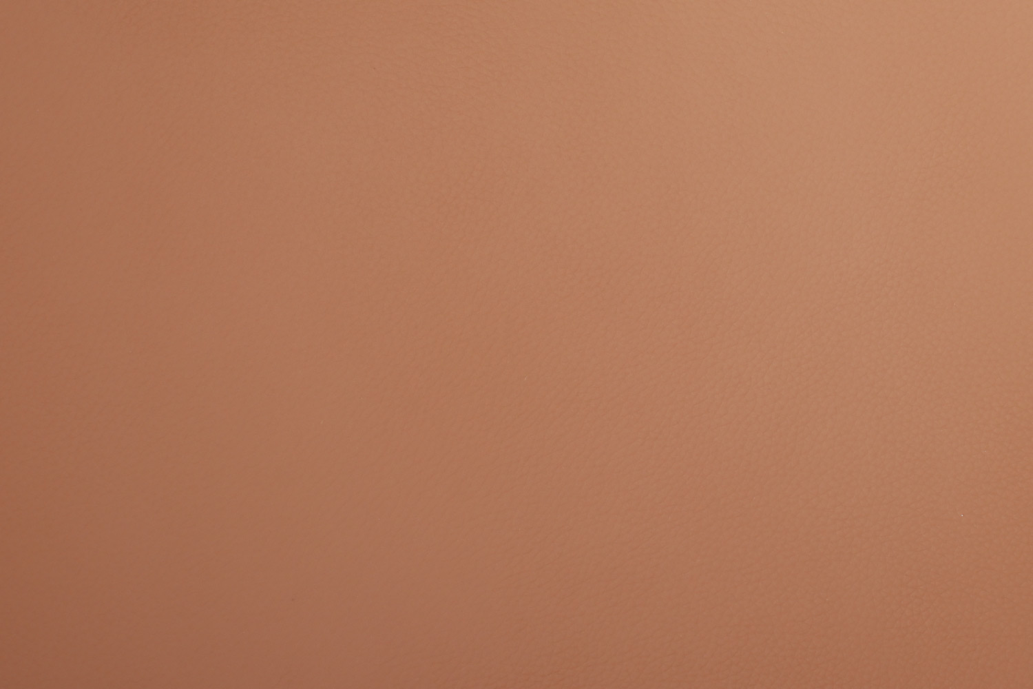 ���� ������-����������