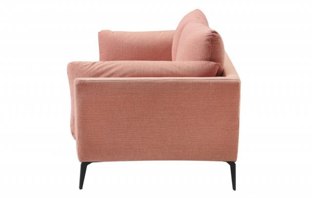 ����� ��������� ����� / Amsterdam Coral