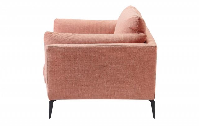 ����� ��������� ����� / Amsterdam Coral