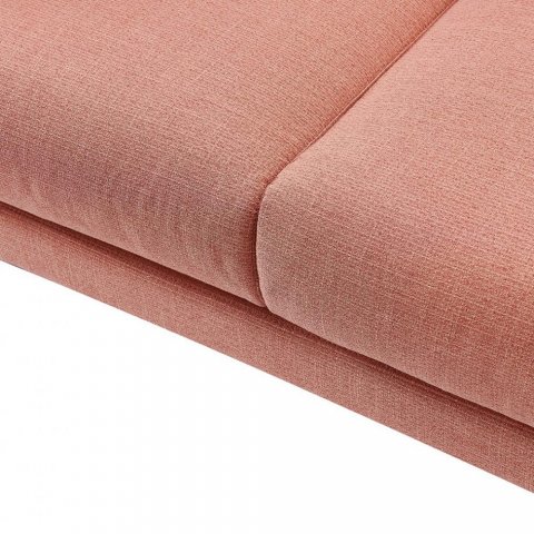 ����� ��������� ����� / Amsterdam Coral