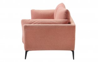 ����� ��������� ����� / Amsterdam Coral