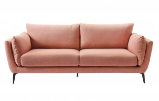 ����� ��������� ����� / Amsterdam Coral