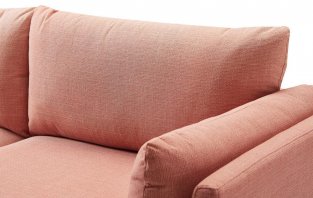 ����� ��������� ����� / Amsterdam Coral