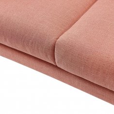 ����� ��������� ����� / Amsterdam Coral