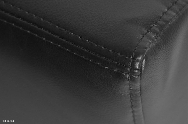 ����� ���� / Puma