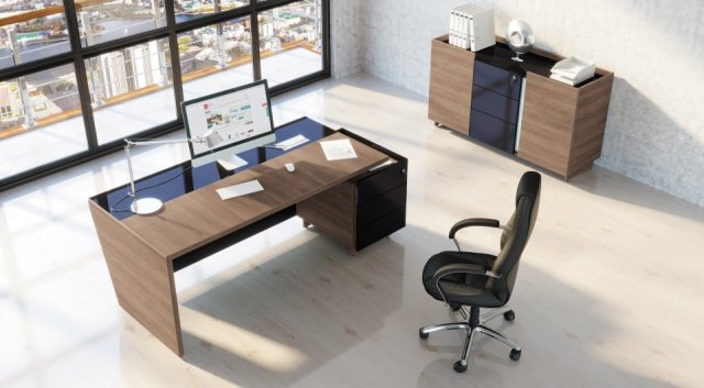 ������� ����� �������� / Plaza Director