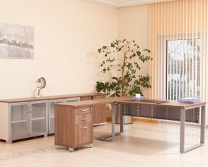 ������� Prizma Director