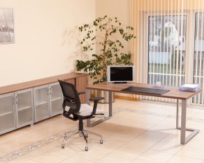 ������� Prizma Director