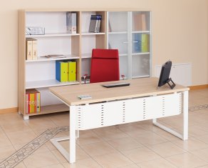 ������� Prizma Director