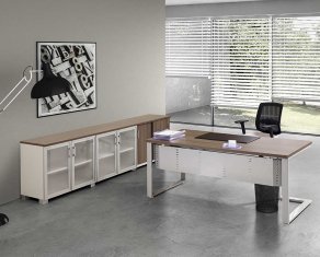 ������� Prizma Director