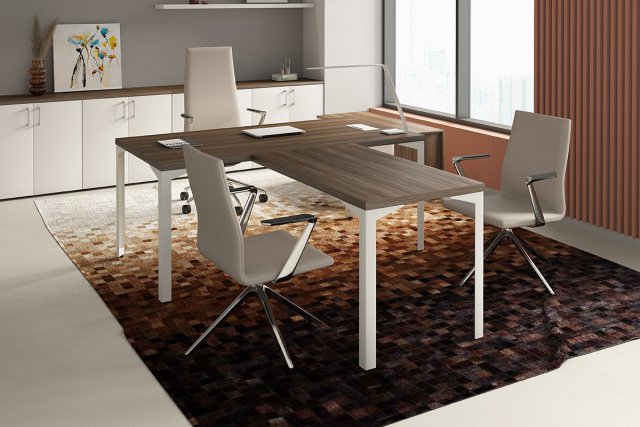 ������� ��� ��������� / Ray Executive