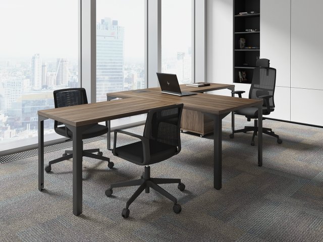 ������� ��� ��������� / Ray Executive