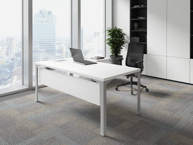 ������� ��� ��������� / Ray Executive