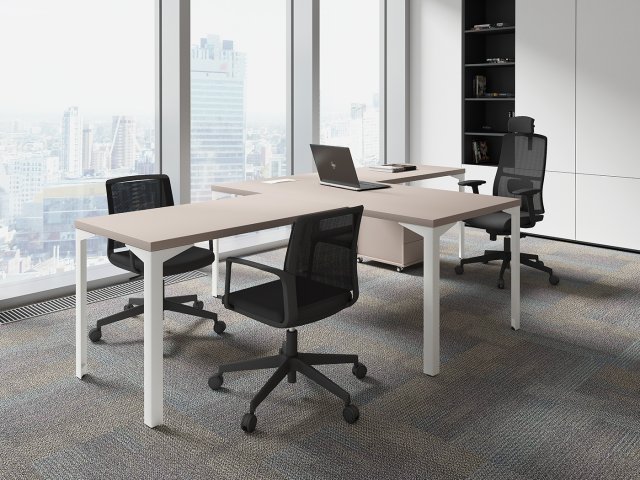 ������� ��� ��������� / Ray Executive