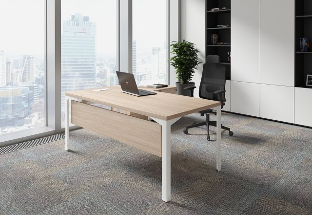 ������� ��� ��������� / Ray Executive