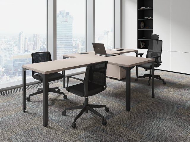 ������� ��� ��������� / Ray Executive