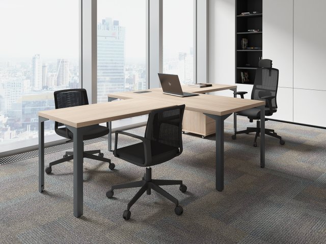 ������� ��� ��������� / Ray Executive