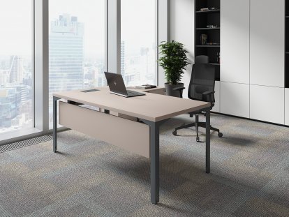 ������� ��� ��������� / Ray Executive