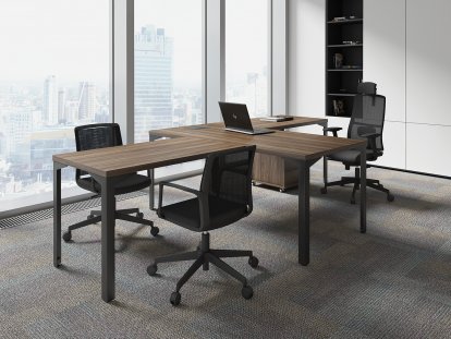������� ��� ��������� / Ray Executive