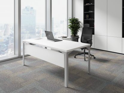 ������� ��� ��������� / Ray Executive