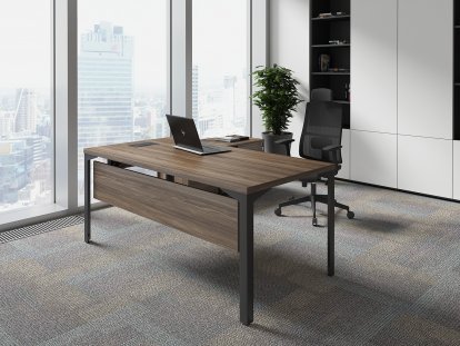 ������� ��� ��������� / Ray Executive