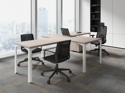 ������� ��� ��������� / Ray Executive