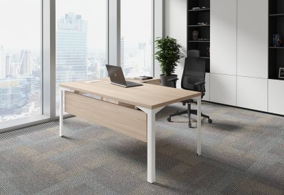������� ��� ��������� / Ray Executive