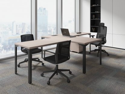 ������� ��� ��������� / Ray Executive