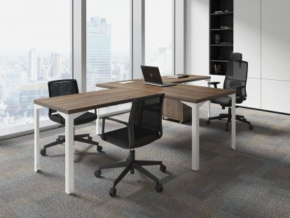 ������� ��� ��������� / Ray Executive