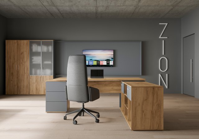 ������� ���� ���� / Zion Light 