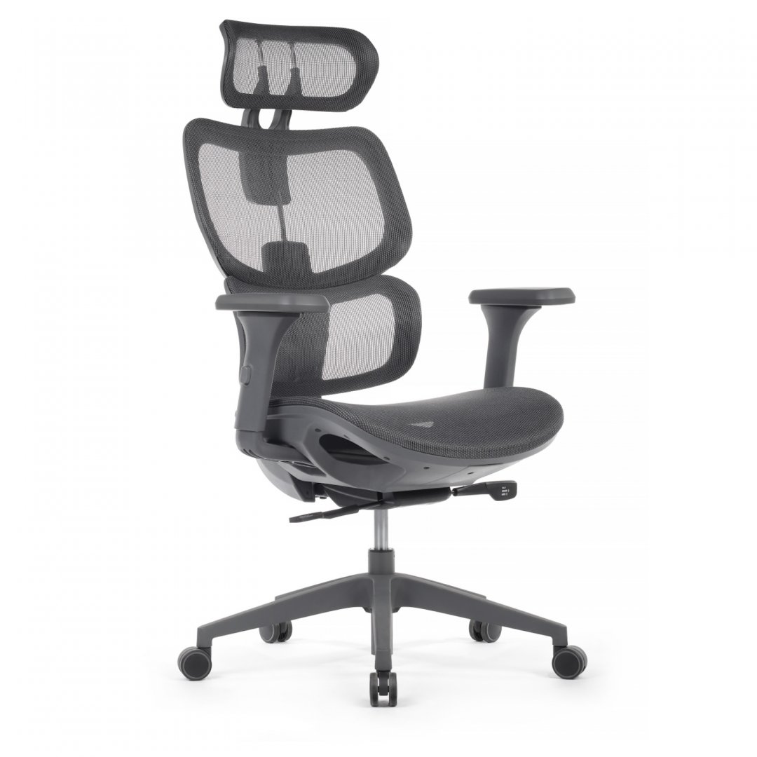 ������ ���� (W-228) ����� �����