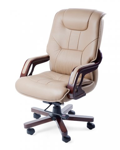 ������ Aristocrat