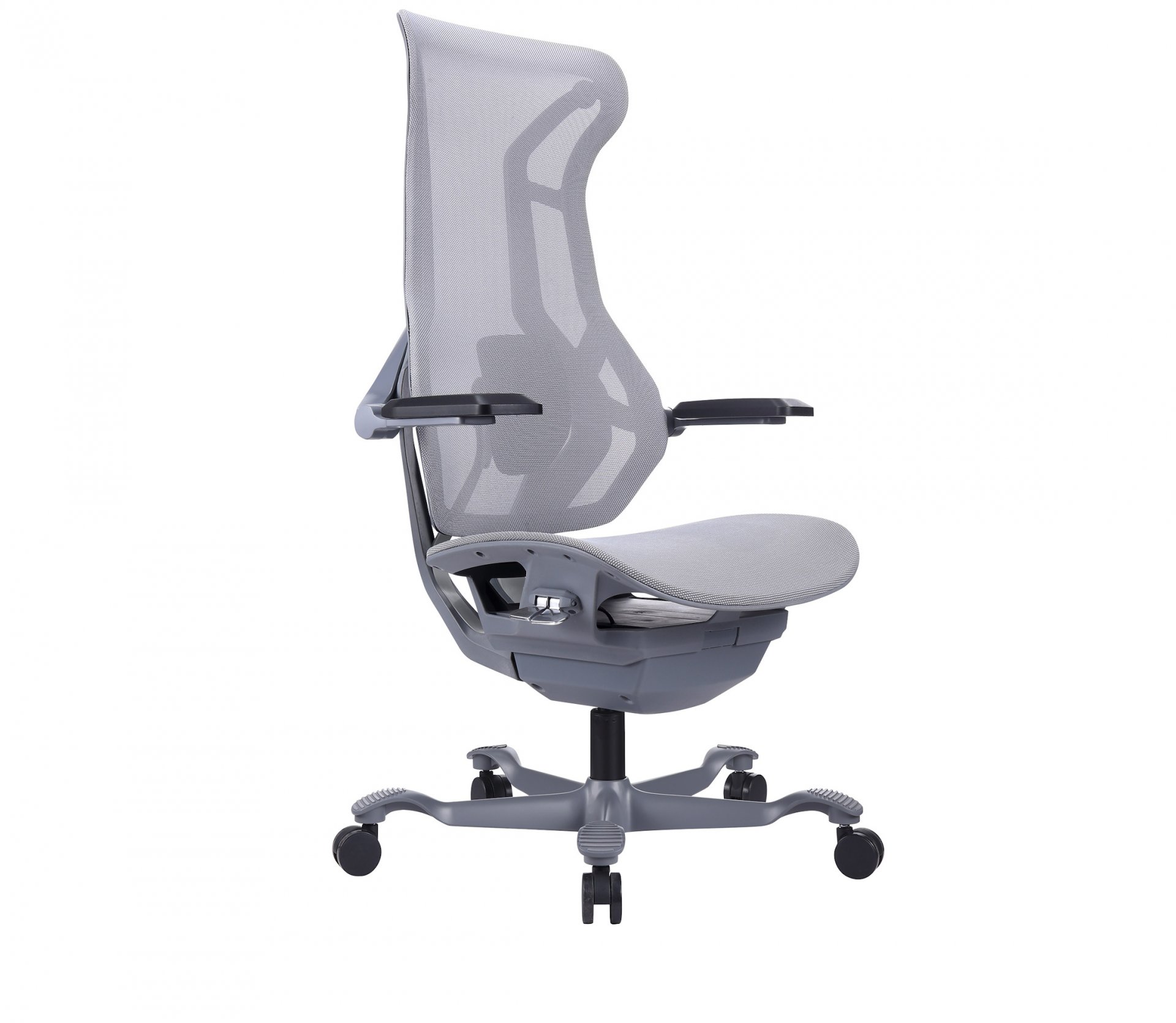 ������ ���� ���� / Atom Grey ����� �����