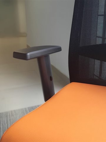 ������ ������ / Brenta