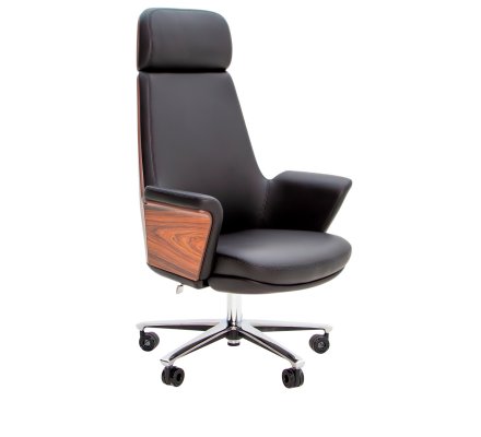 ������ ��� / CEO ������ ����/���������
