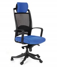 ������ Chairman 283