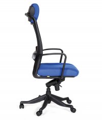 ������ Chairman 283